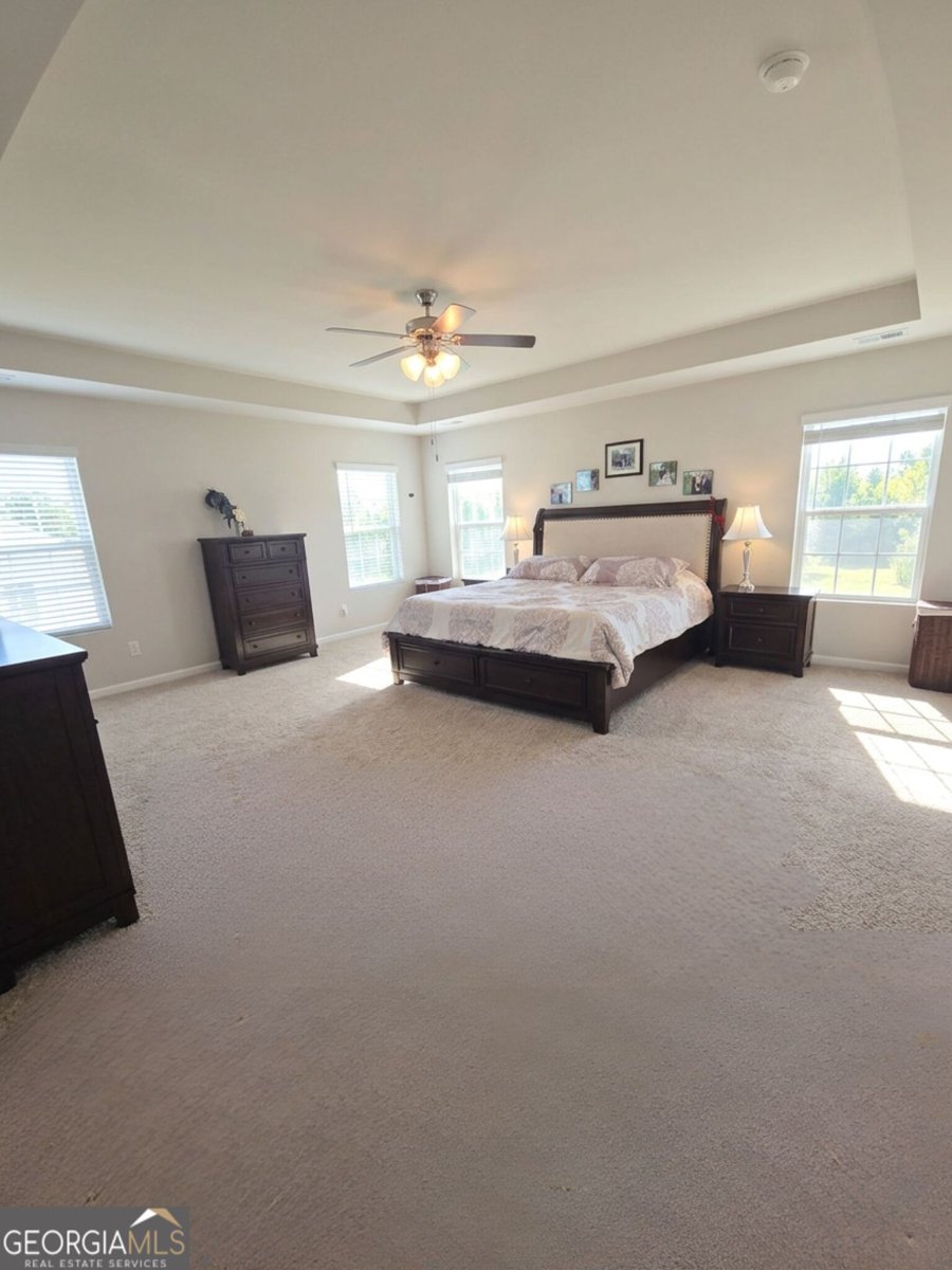 734 Basswood Avenue McDonough - Photo 15