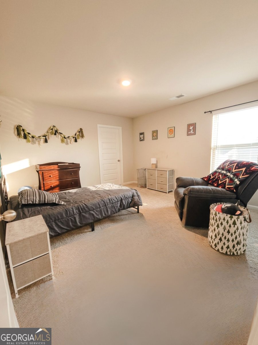 734 Basswood Avenue McDonough - Photo 21