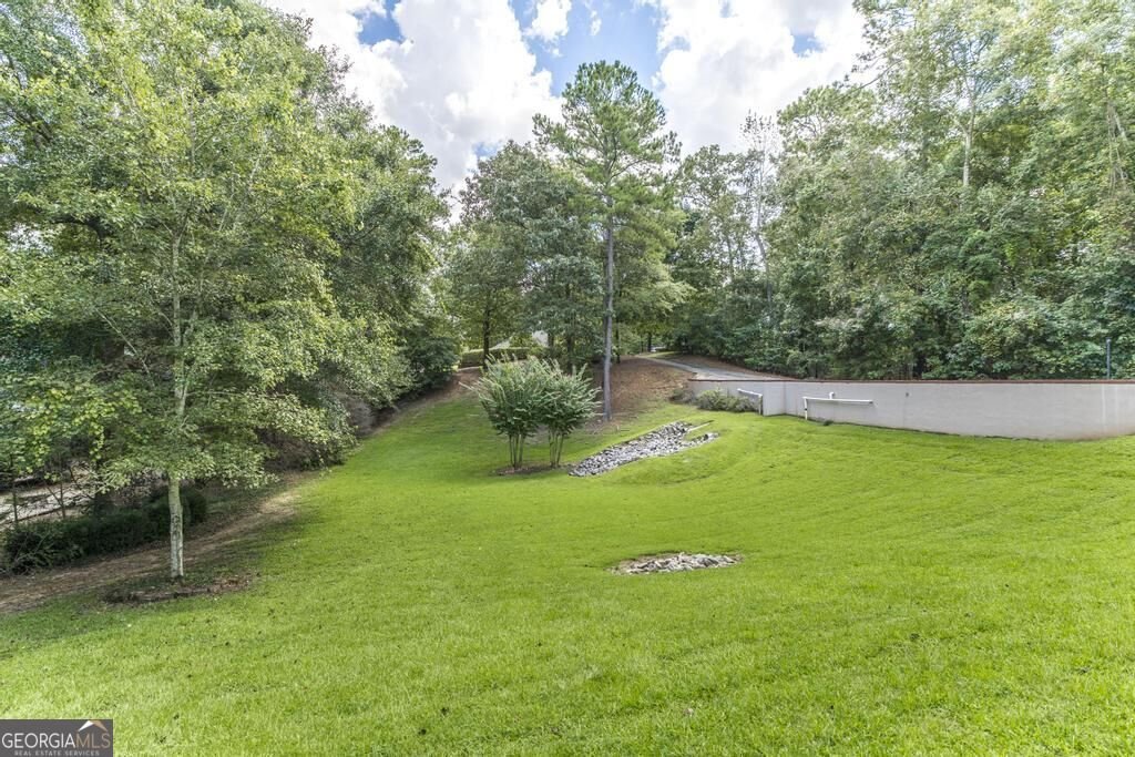 117 Richfield Circle Kathleen - Photo 63