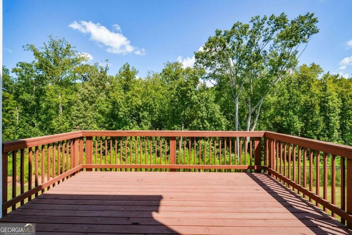 134 Spaulding Lane Woodstock - Photo 49