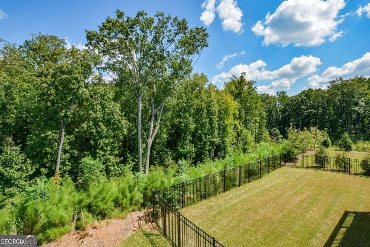 134 Spaulding Lane Woodstock - Photo 51