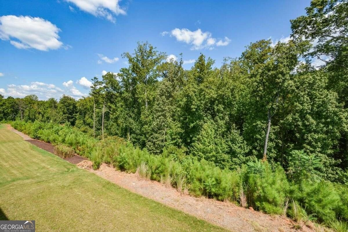 134 Spaulding Lane Woodstock - Photo 52