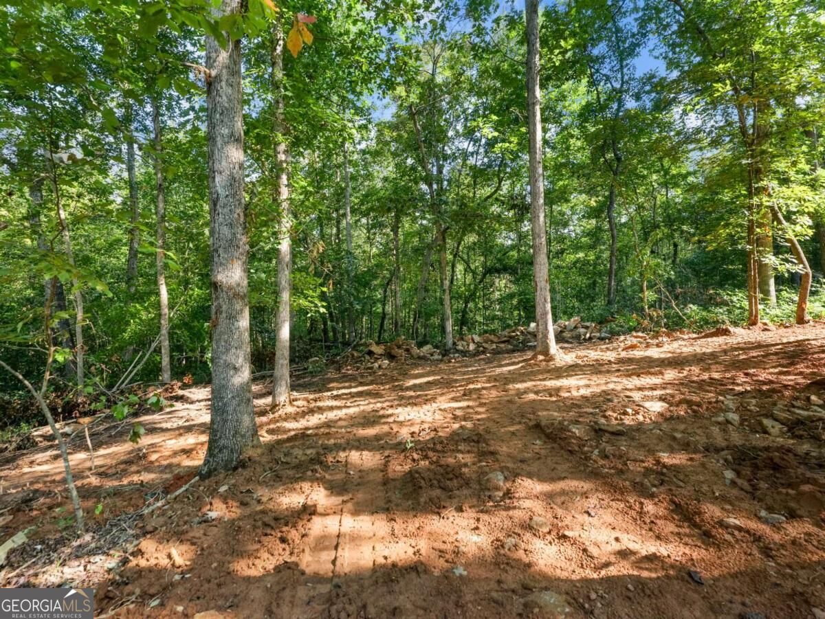 277 Eden Woods Clarkesville - Photo 32