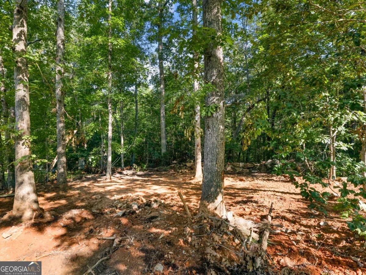 277 Eden Woods Clarkesville - Photo 34