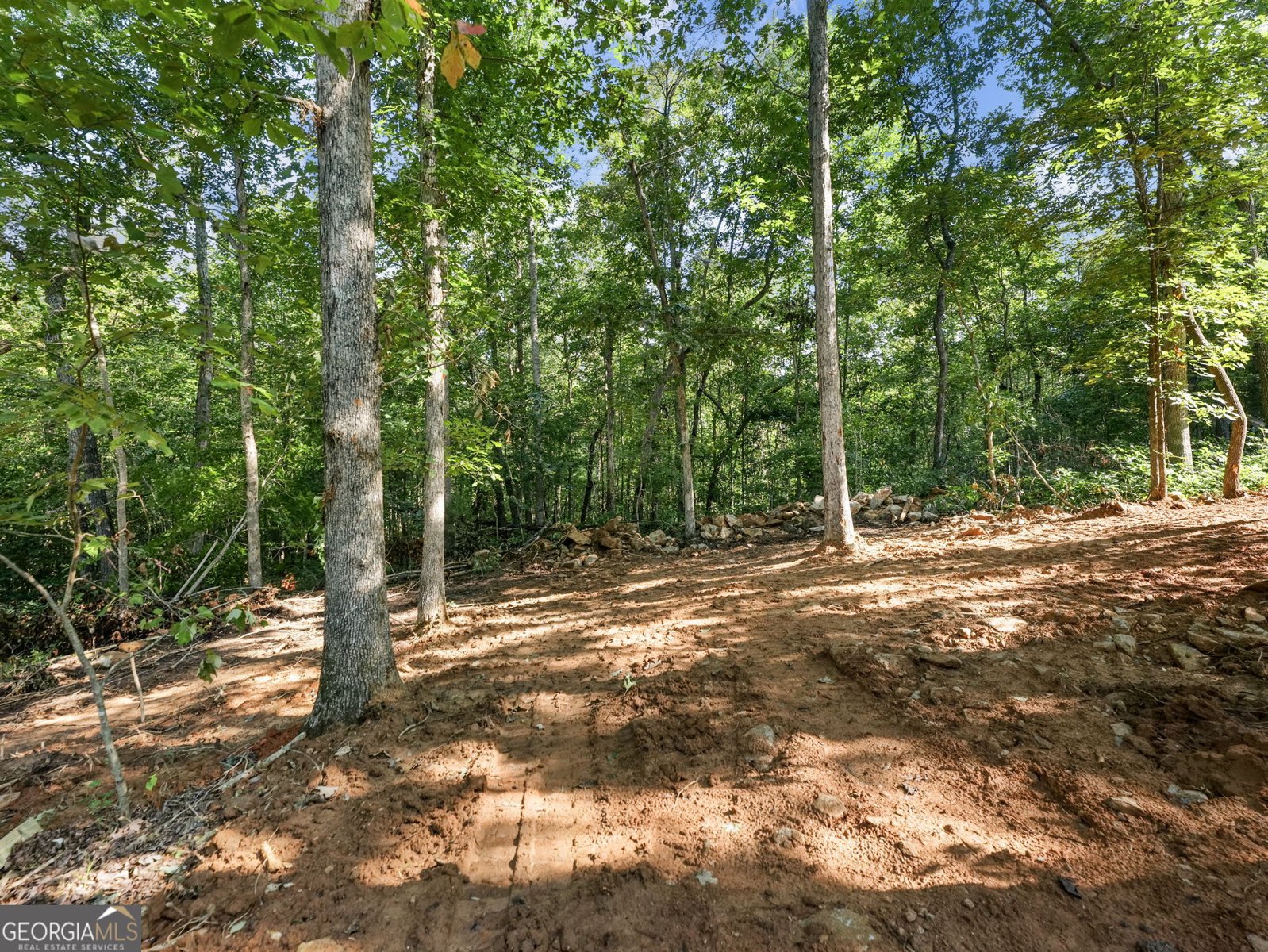 277 Eden Woods Clarkesville - Photo 40
