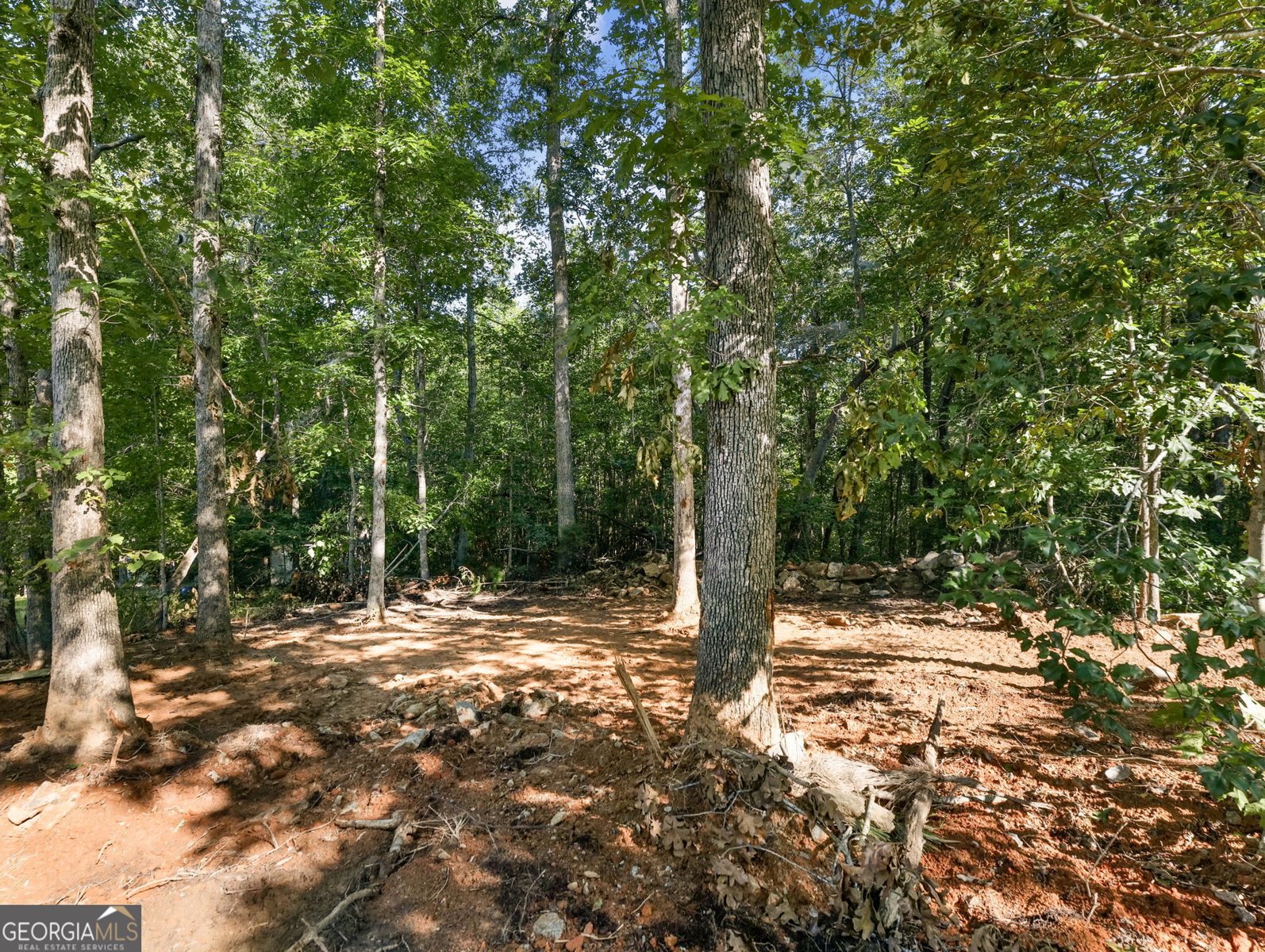 277 Eden Woods Clarkesville - Photo 42