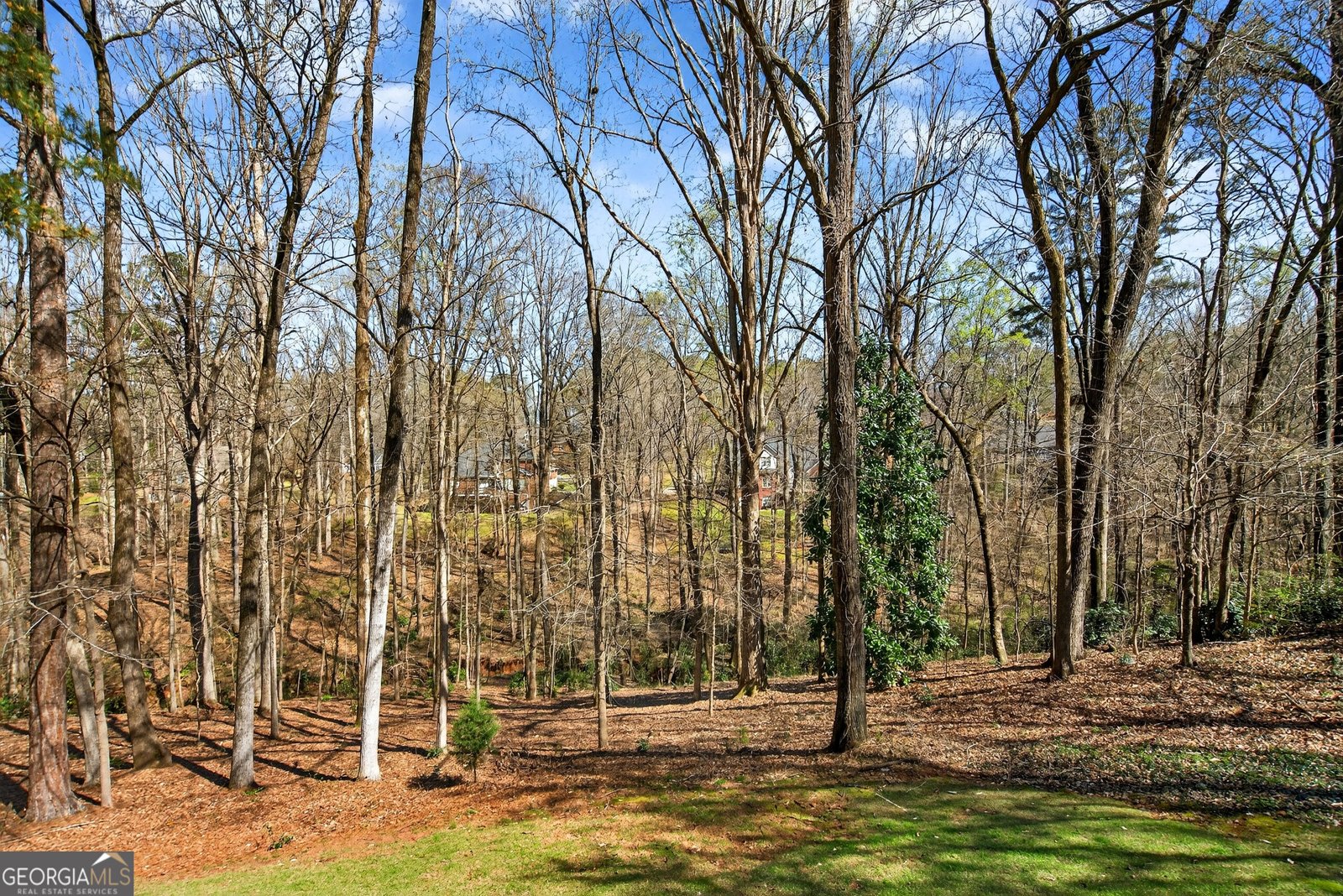 227 Ashford Circle Lagrange - Photo 47