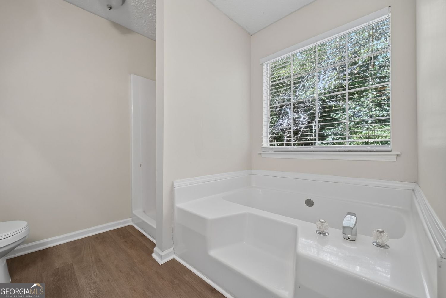 222 Deer Walk Drive Winder - Photo 27