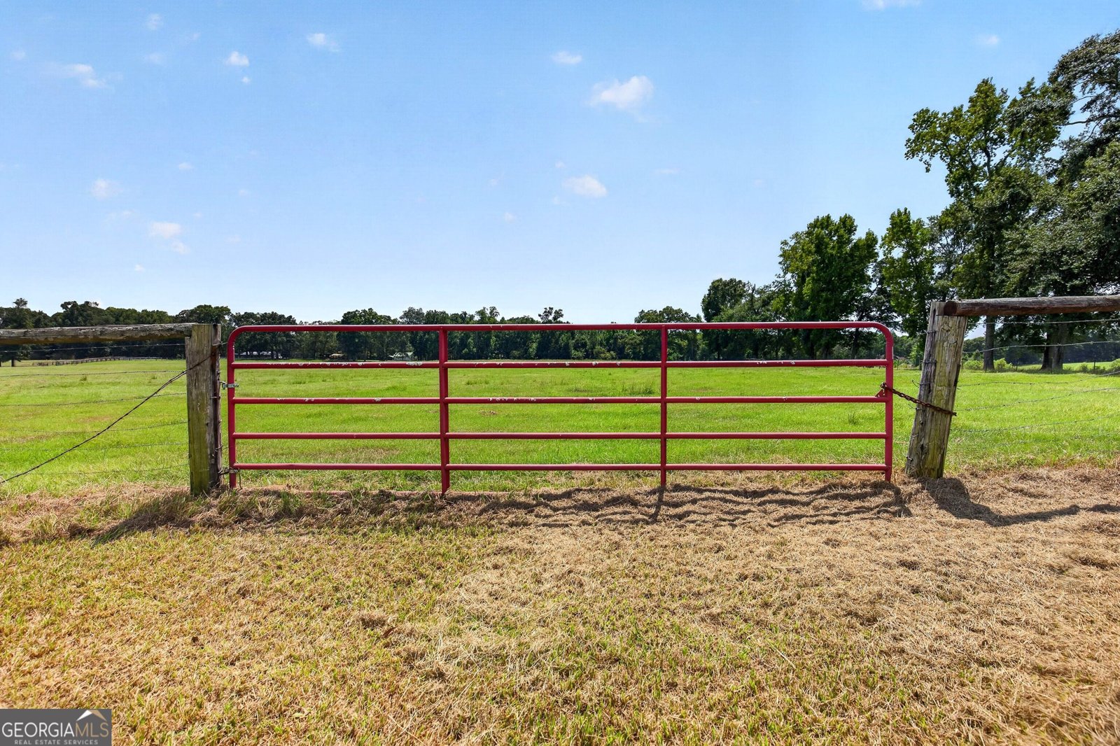 793 Harrell Road Thomaston - Photo 54