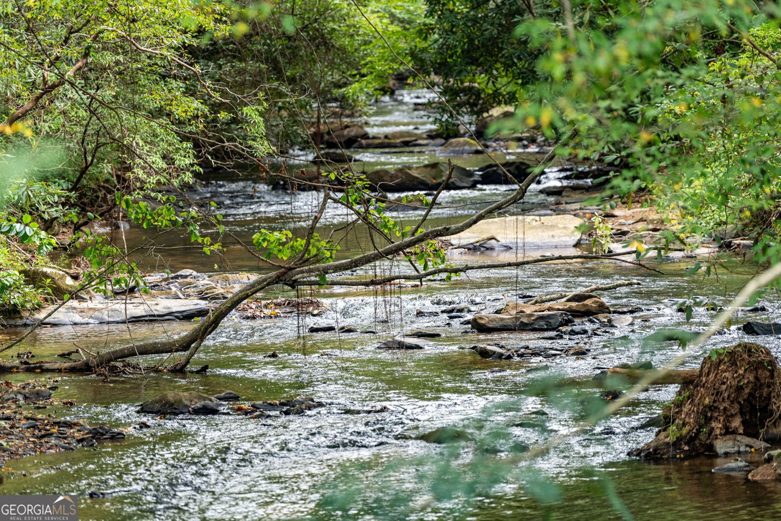 235 Conasauga Creek Ellijay - Photo 8