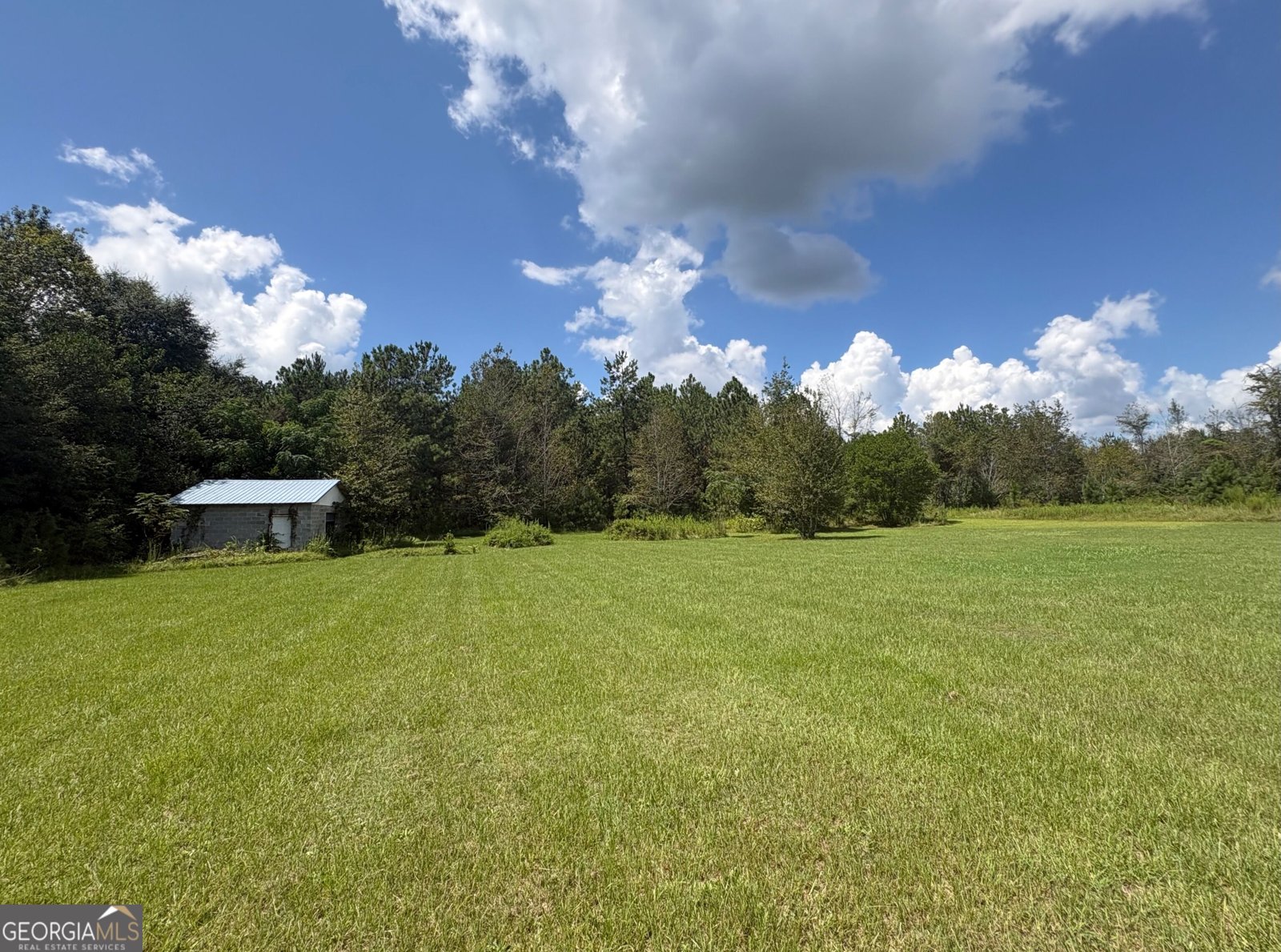 181 Aultman Road Fort Valley - Photo 29
