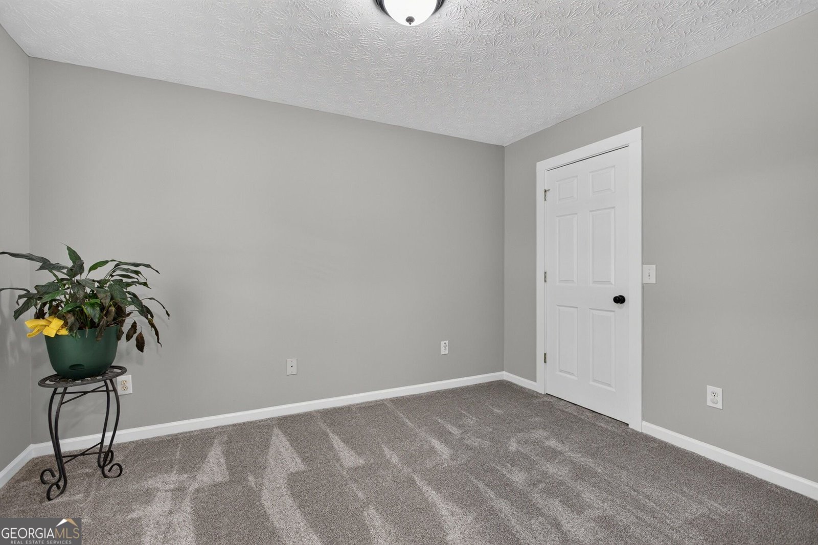 118 Nelson Oaks Drive Ball Ground - Photo 36
