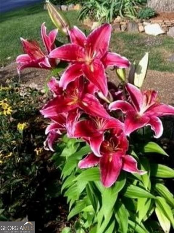 4173 D'Youville Trace Brookhaven - Photo 56