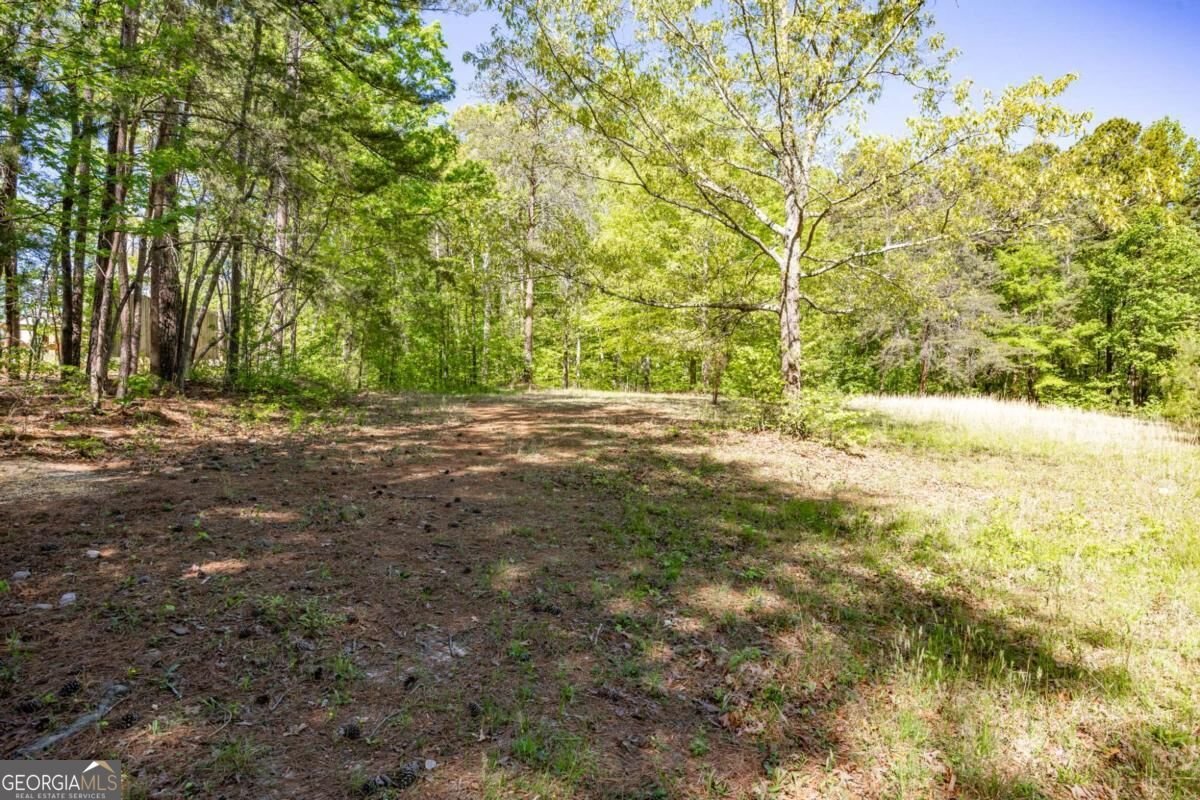 8277 Buchanan Highway Dallas - Photo 30