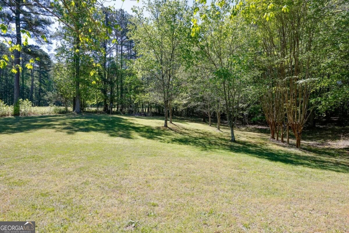 8277 Buchanan Highway Dallas - Photo 62