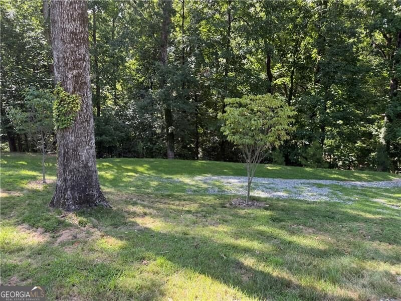 1790 Dogwood Drive Cumming - Photo 27
