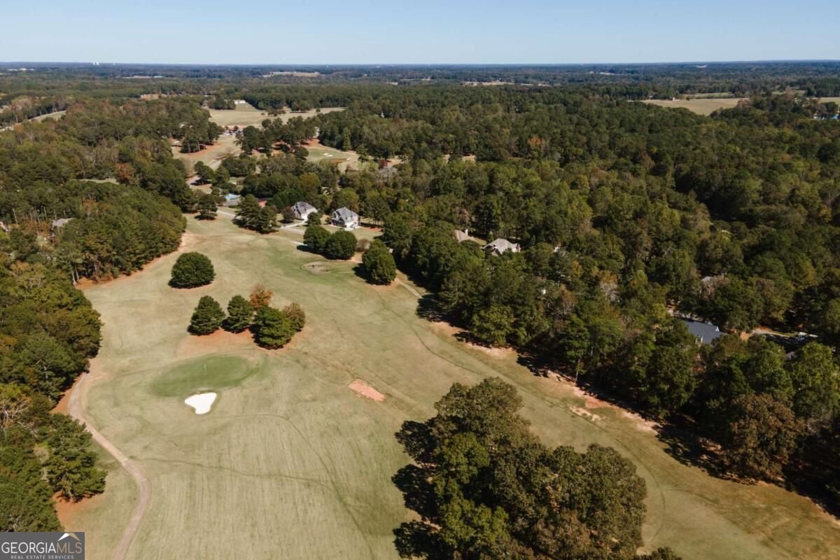 1410 Lane Creek Drive Bishop - Photo 57