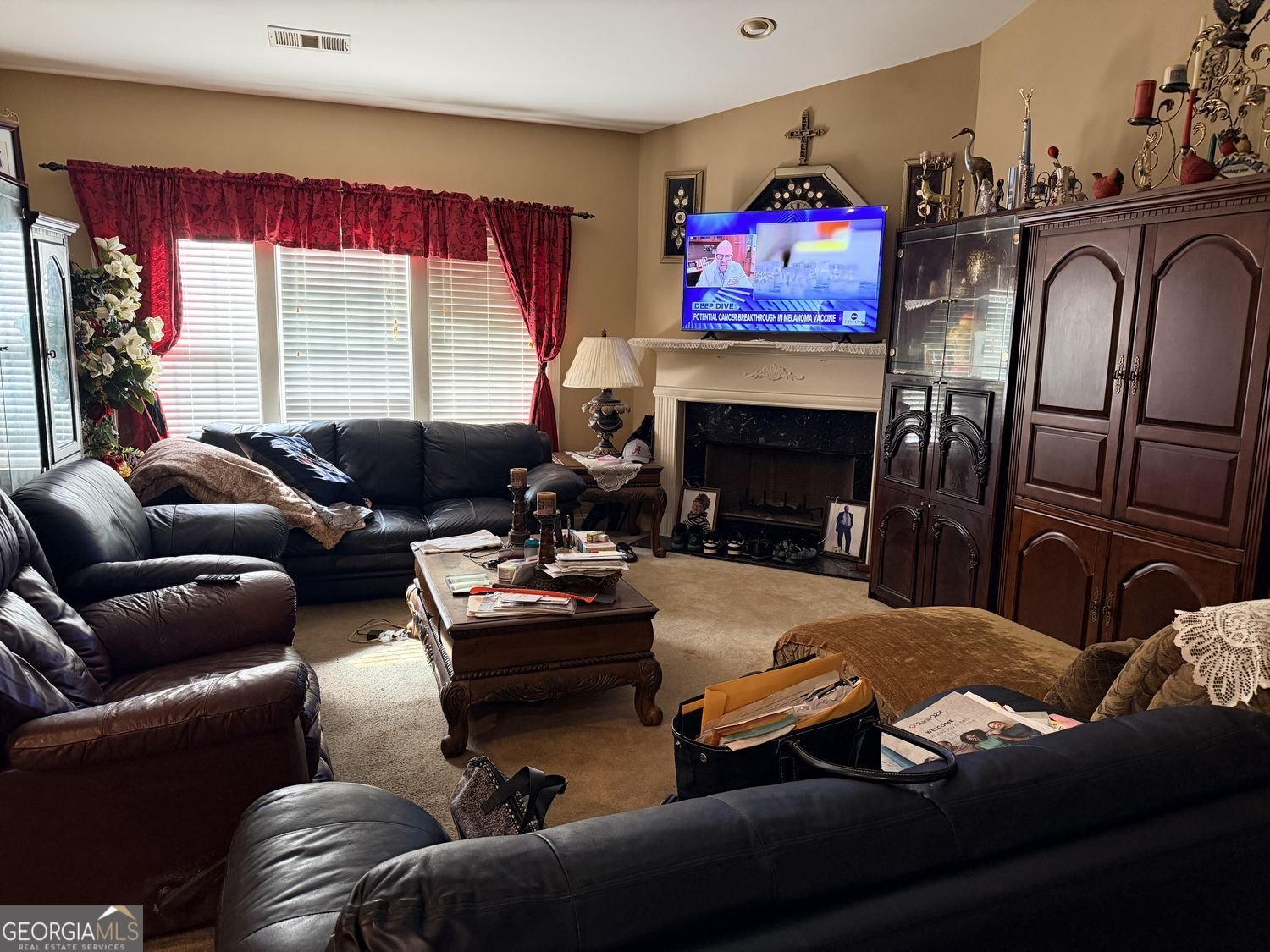 3021 BONITA SPRINGS Court Douglasville - Photo 12