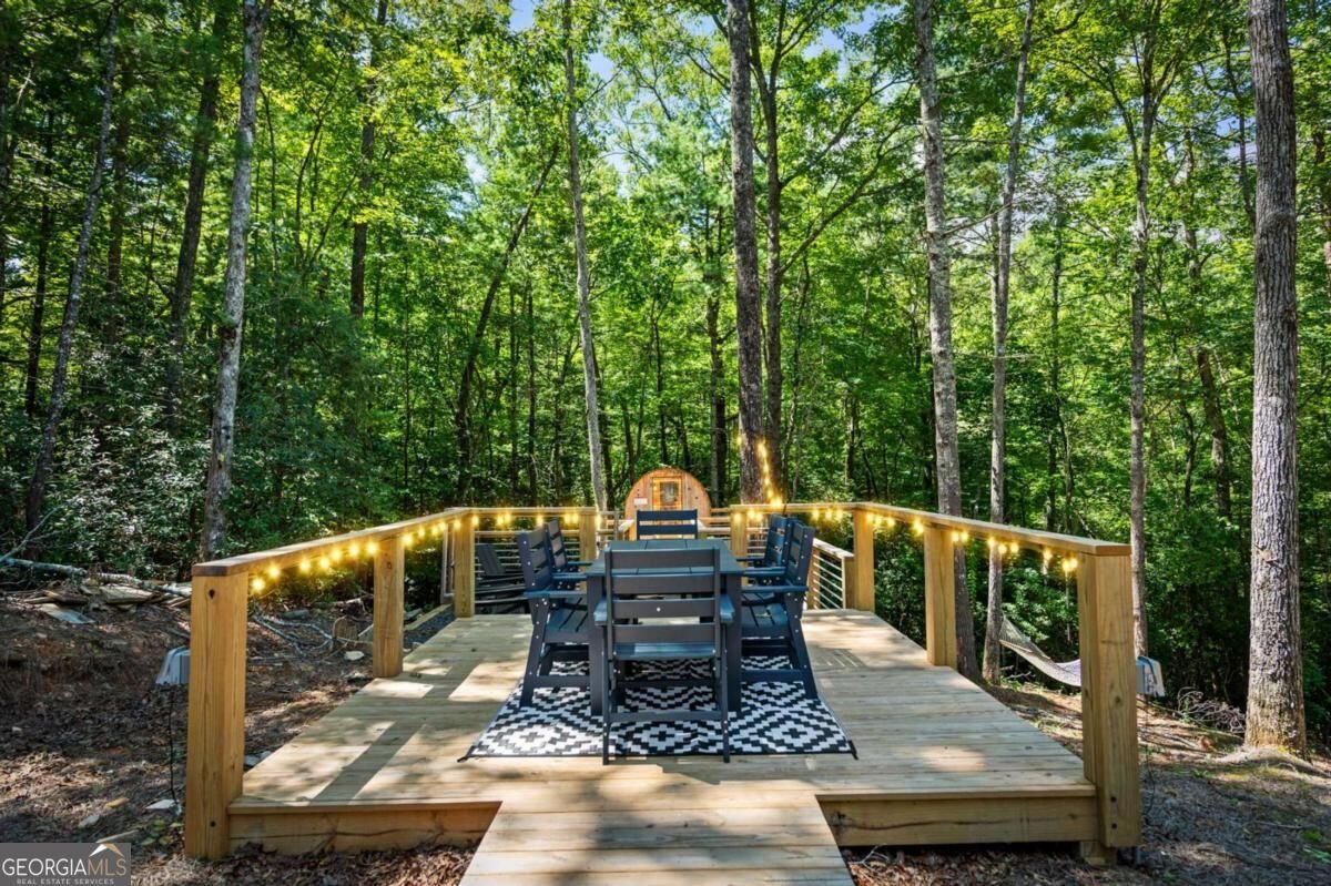 223 Laurel Trace Blue Ridge - Photo 48