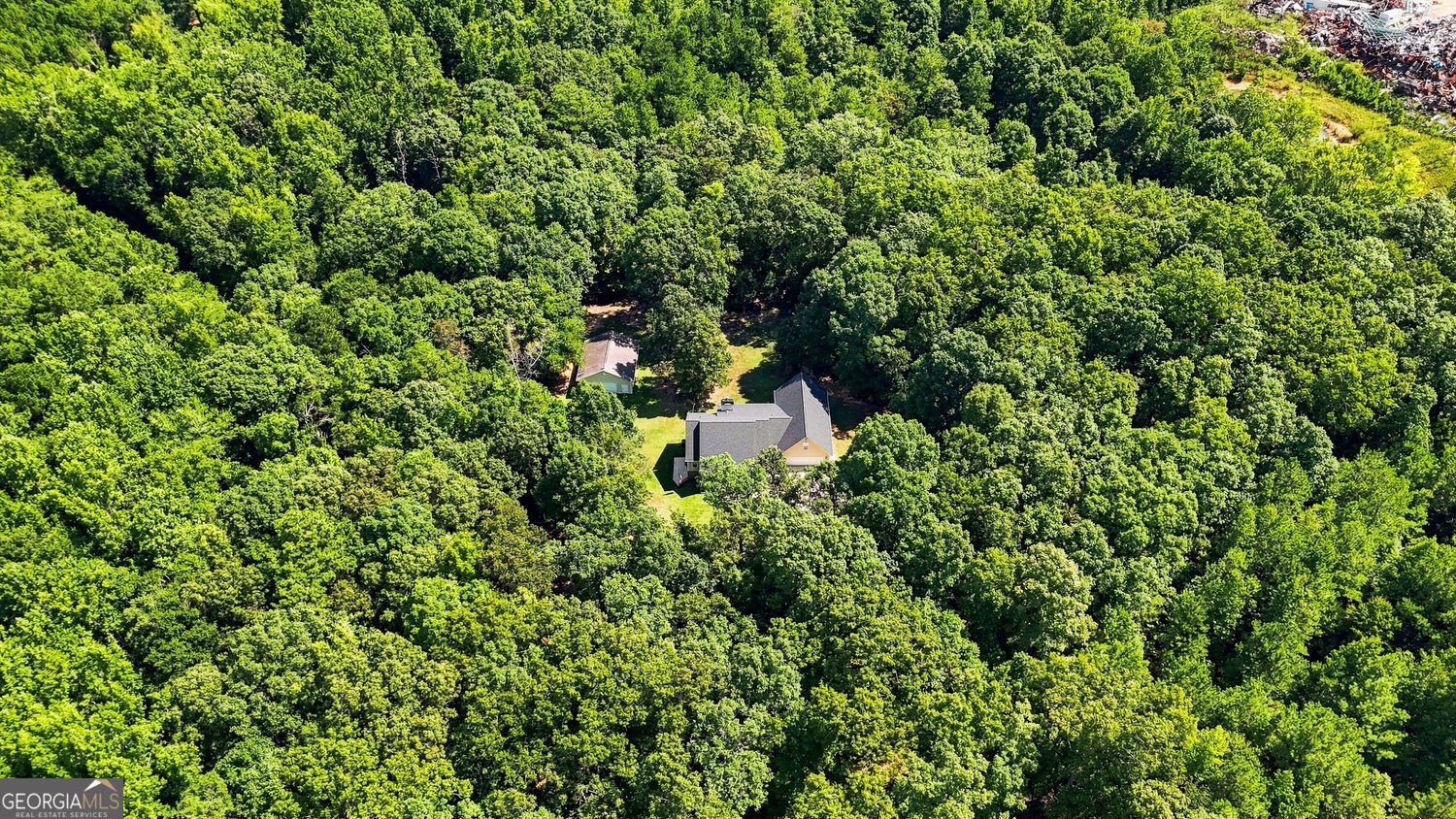 540 Davis Road Locust Grove - Photo 61