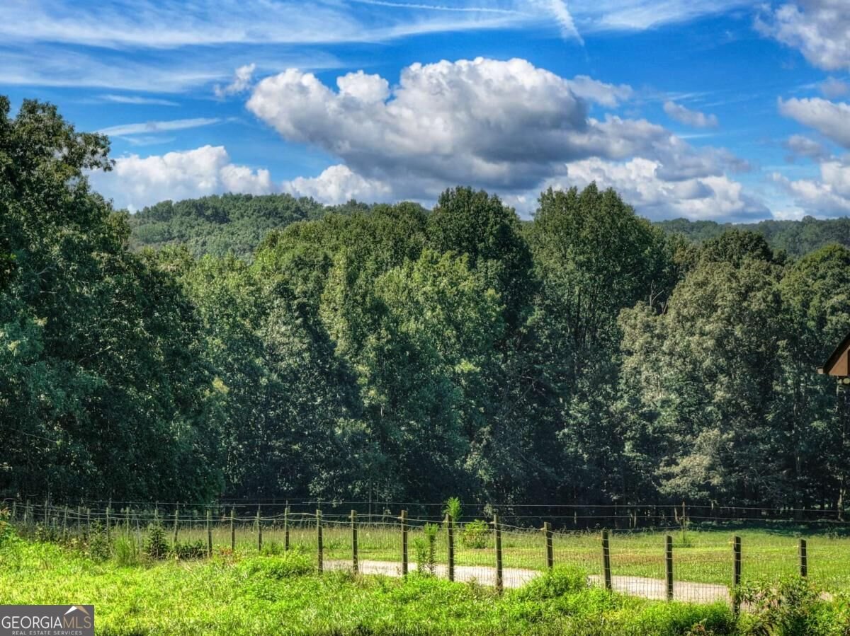 2703 Hwy 382W Ellijay - Photo 60