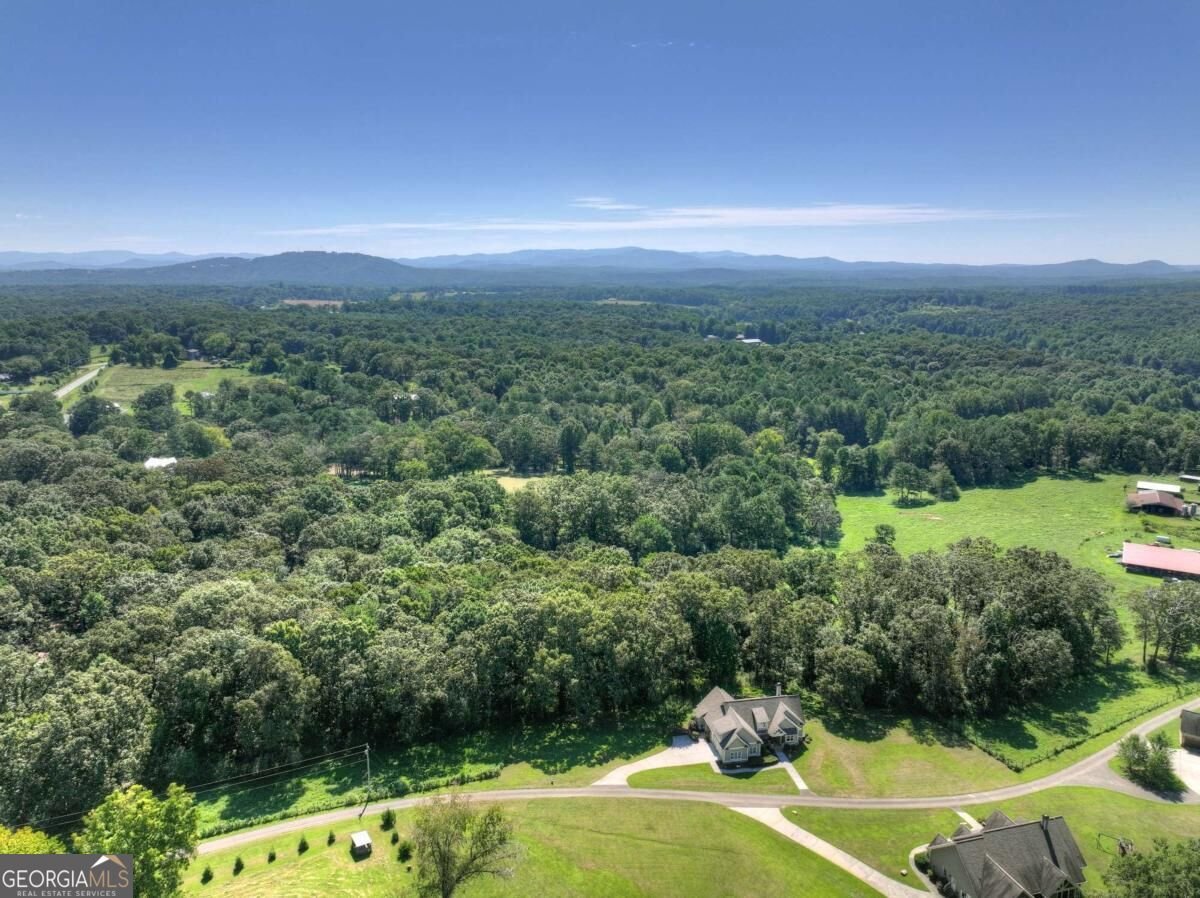 2703 Hwy 382W Ellijay - Photo 63