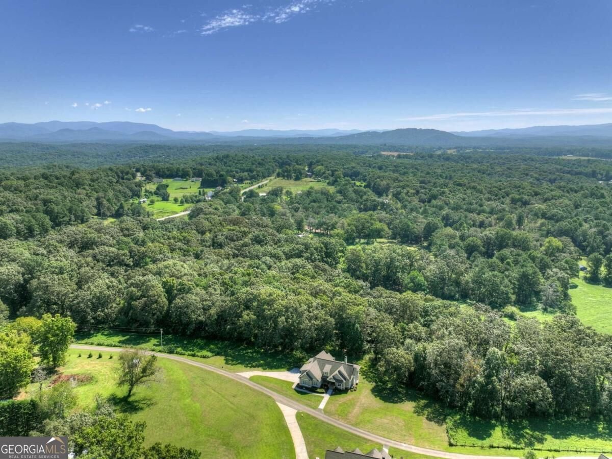2703 Hwy 382W Ellijay - Photo 64