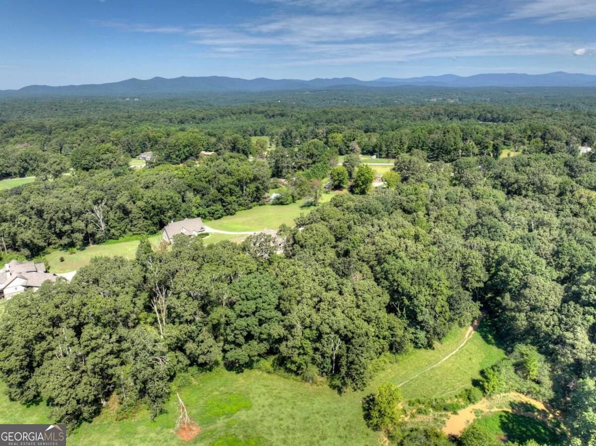 2703 Hwy 382W Ellijay - Photo 65