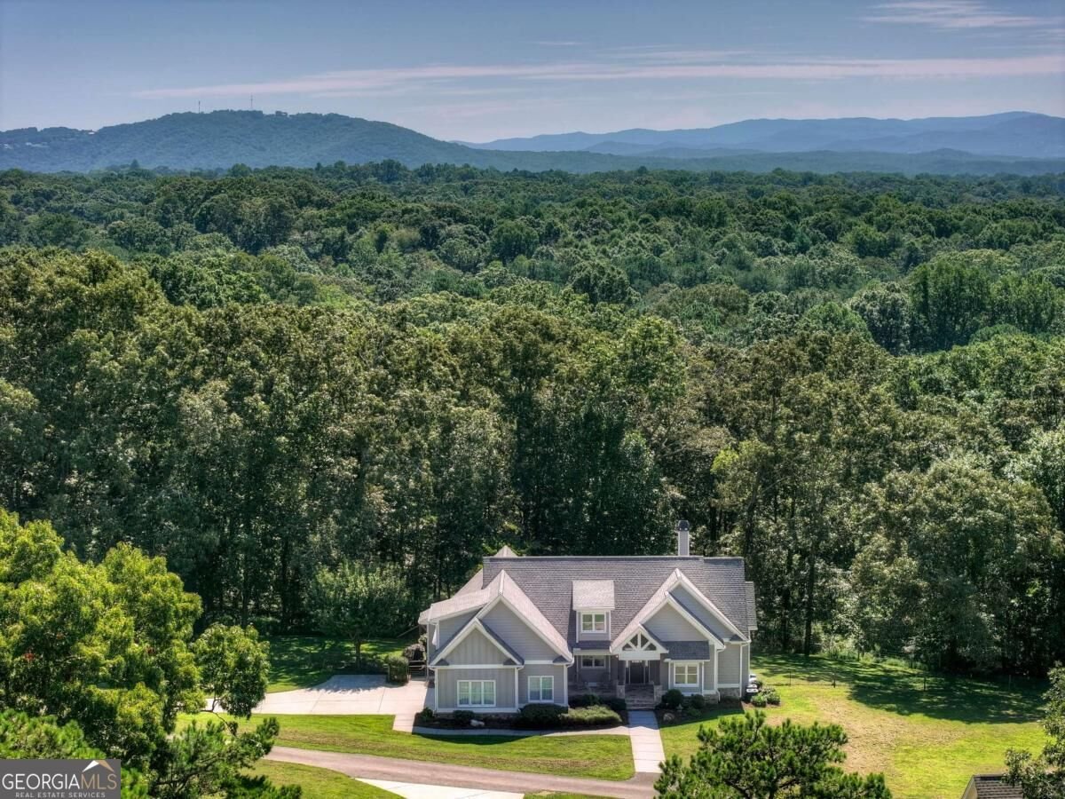 2703 Hwy 382W Ellijay - Photo 66