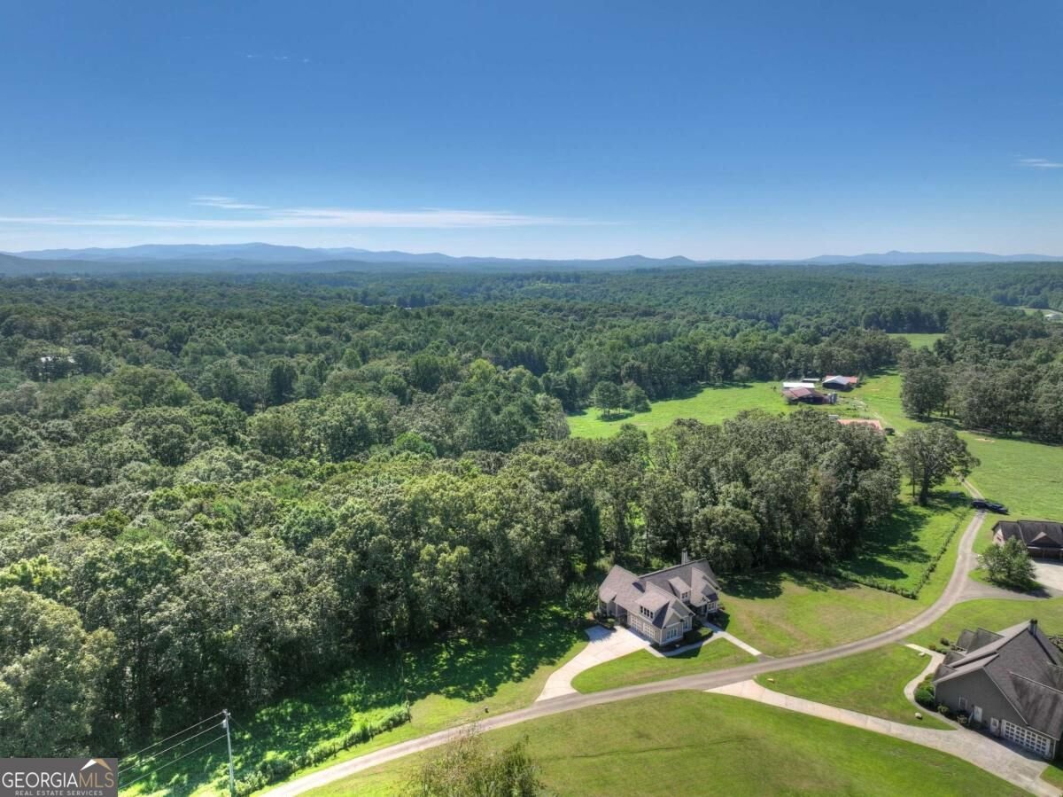 2703 Hwy 382W Ellijay - Photo 67
