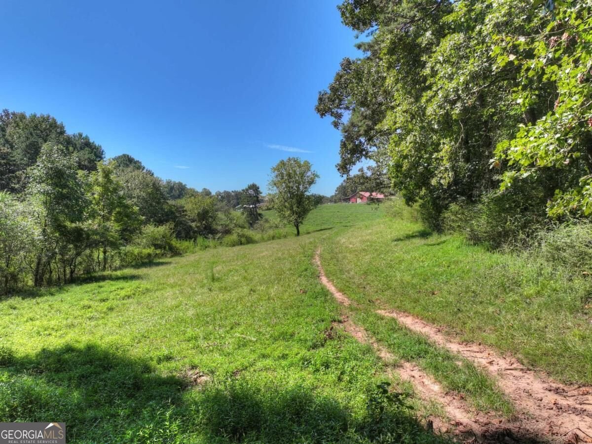 2703 Hwy 382W Ellijay - Photo 71