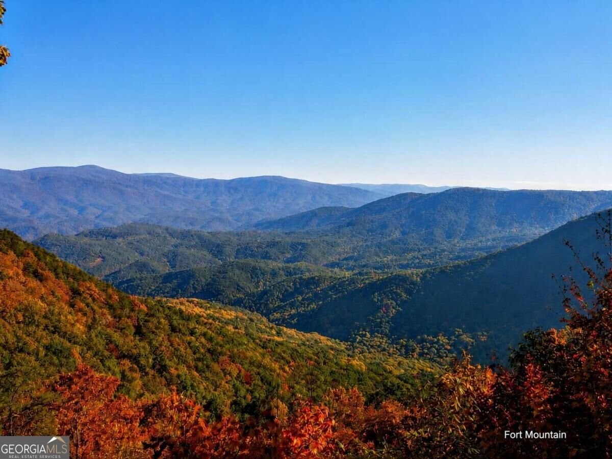 2703 Hwy 382W Ellijay - Photo 78