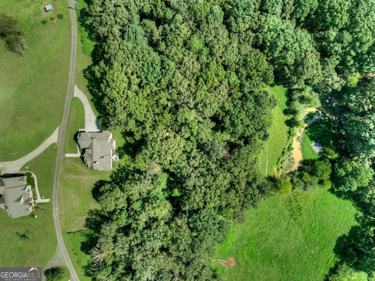 2703 Hwy 382W Ellijay - Photo 86
