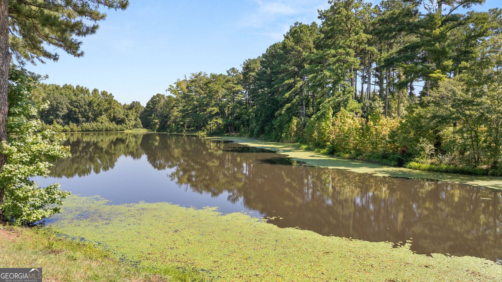 79 Shoal Court Winder - Photo 6