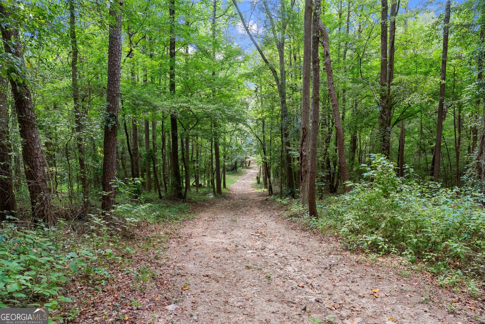 4290 Waterworks Road Jefferson - Photo 106