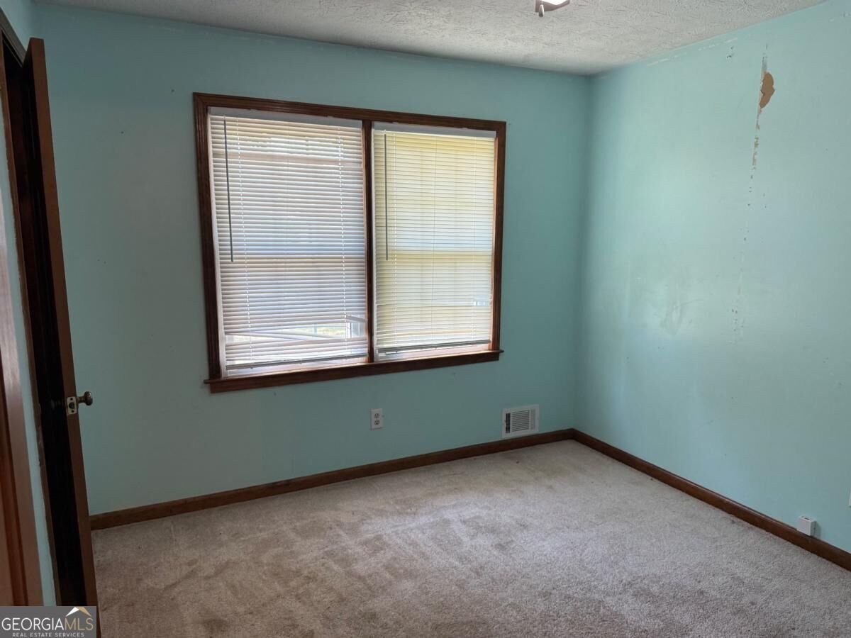 435 Unity Grove Road Locust Grove - Photo 14