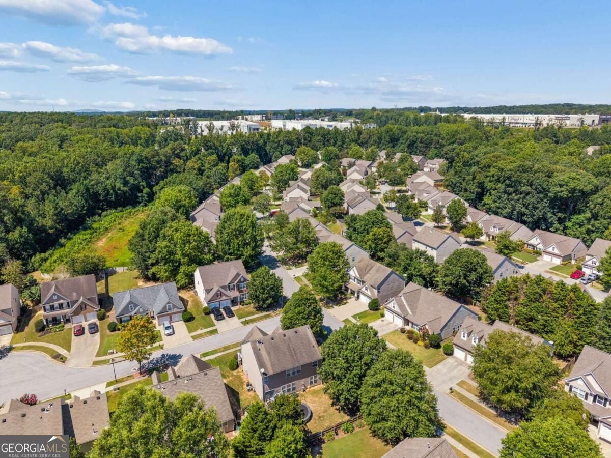 2361 Walnut Tree Court Buford - Photo 40