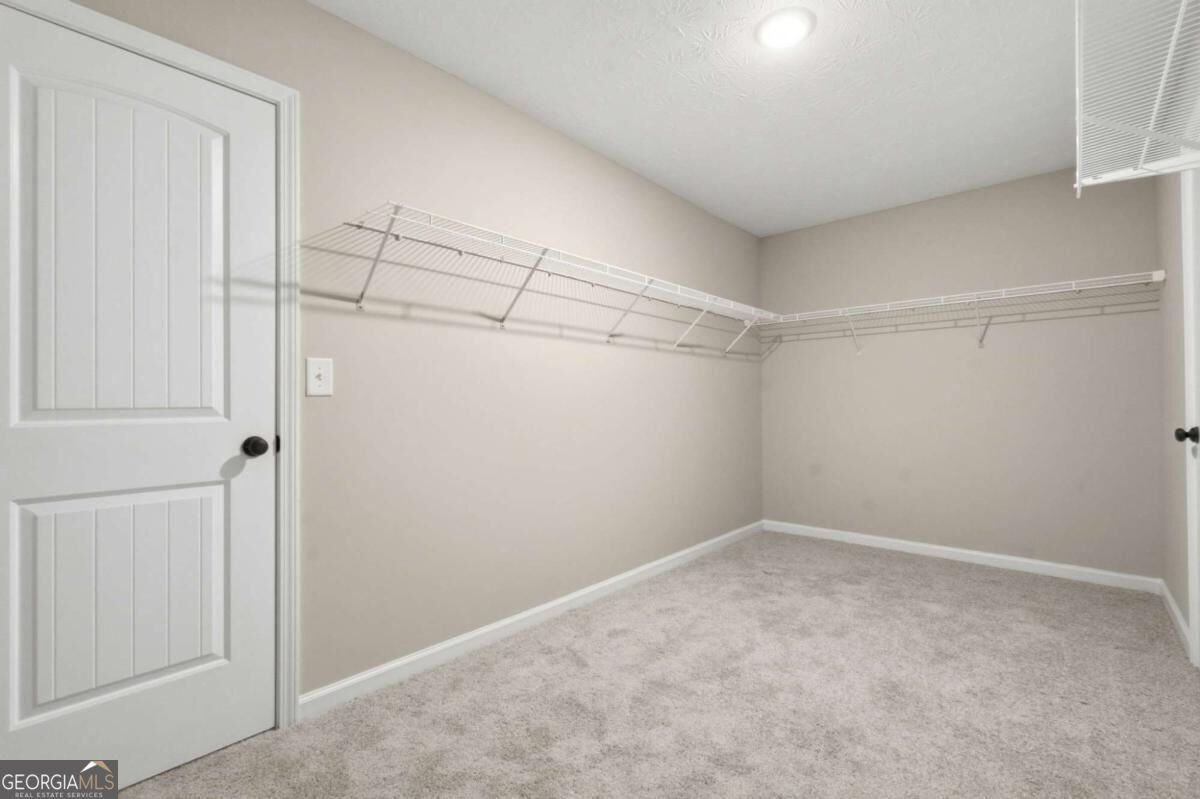 262 Parkview Place Drive Mcdonough - Photo 66