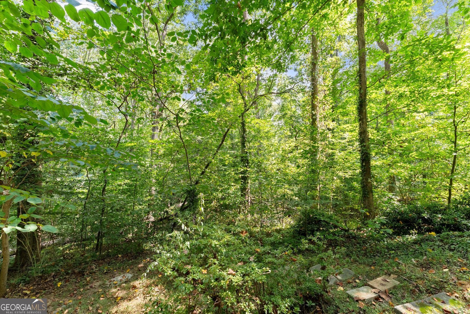 302 Normandy Trail Lavonia - Photo 23