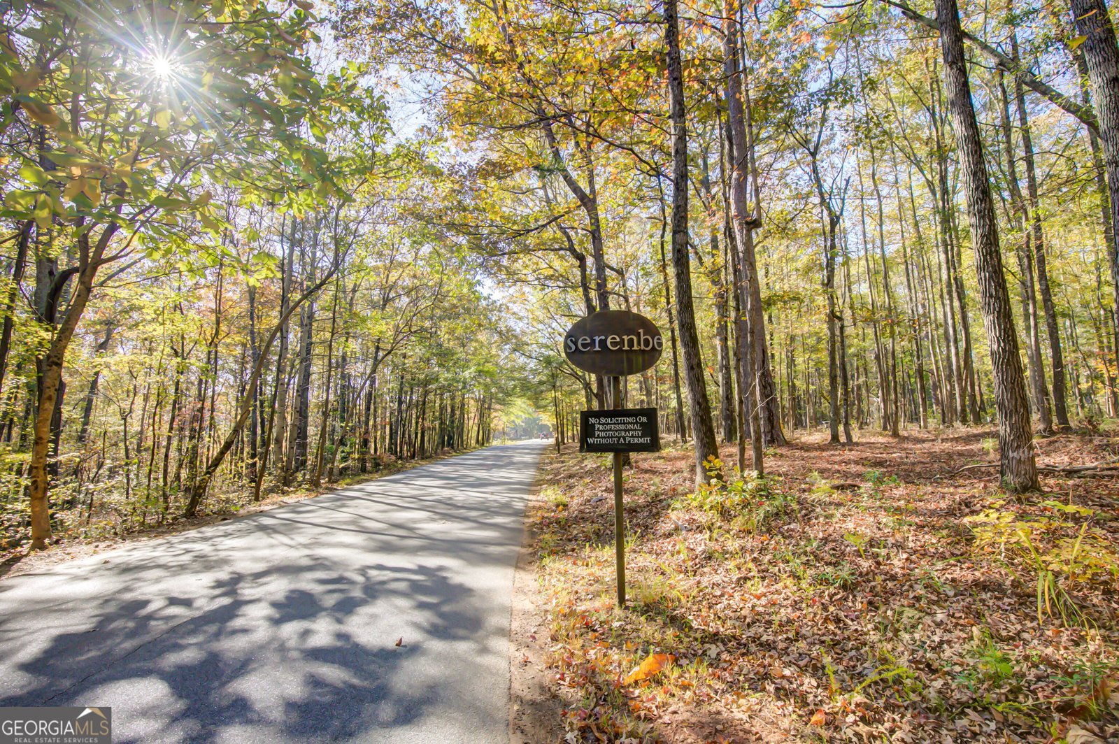 142 Mado Lane Chattahoochee Hills - Photo 59