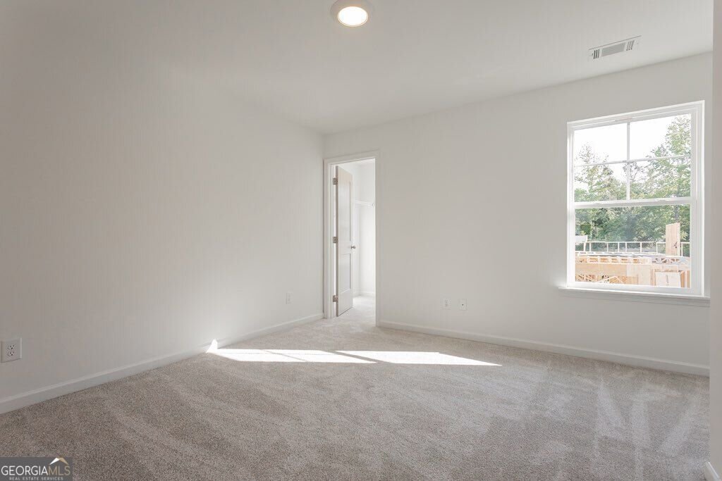 3041 Sea Aster Way Buford - Photo 29