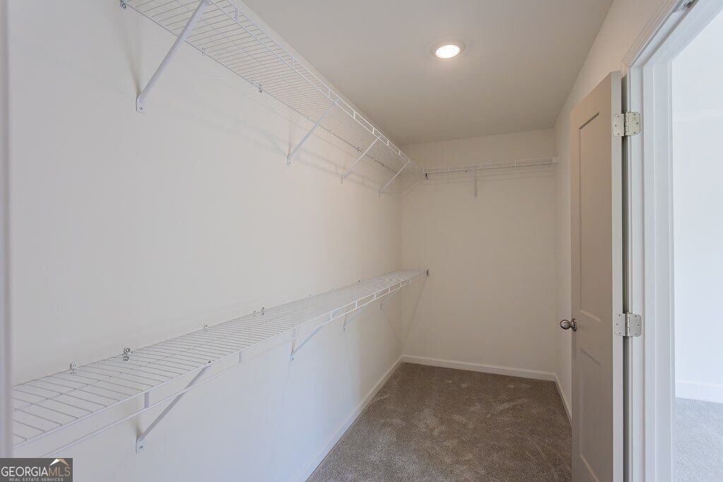 3277 Wild Clary Court Buford - Photo 27