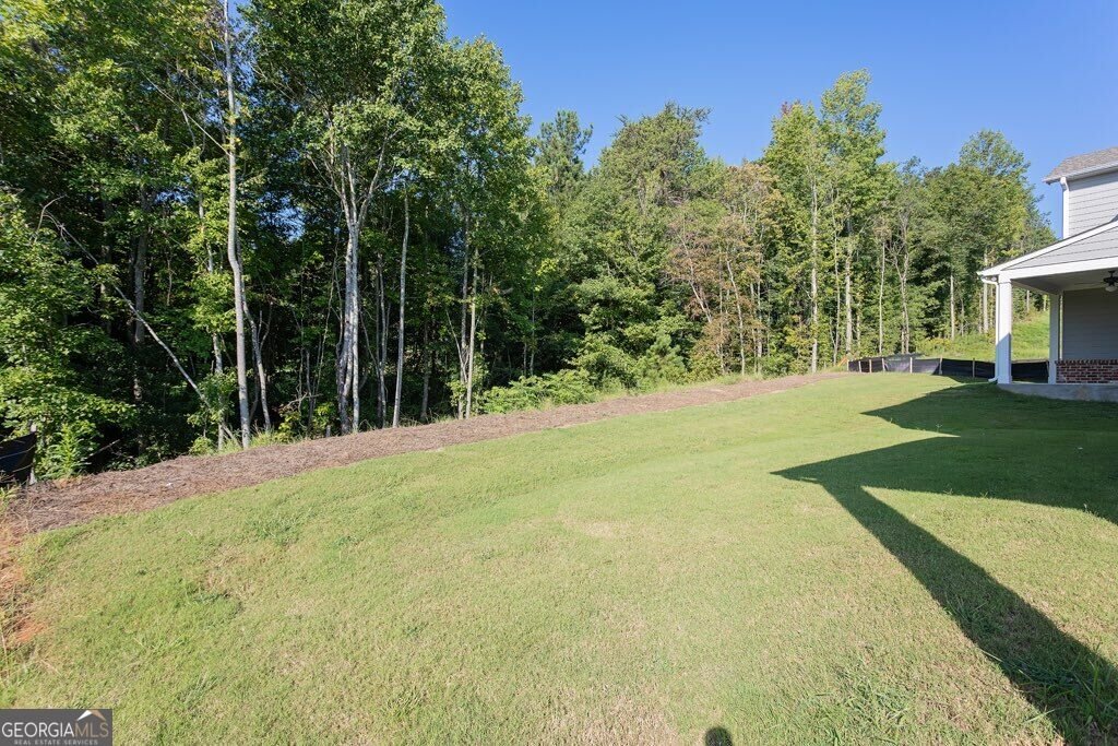 3277 Wild Clary Court Buford - Photo 40