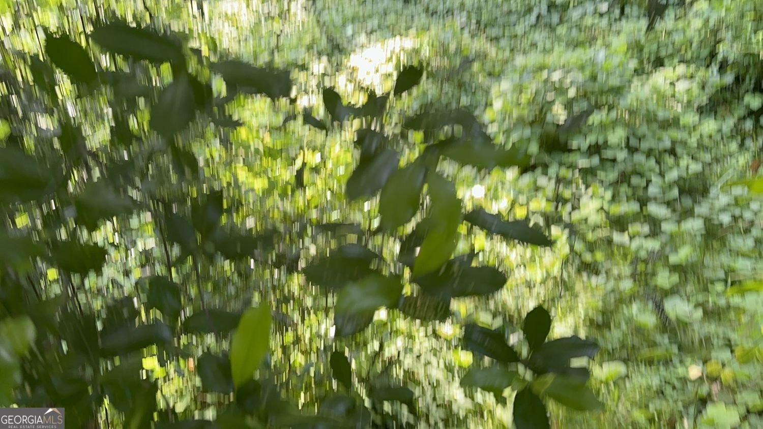 2401 Shea Drive Macon - Photo 32