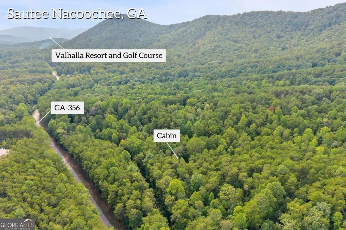 43 Whispering Pines Lane Sautee Nacoochee - Photo 27