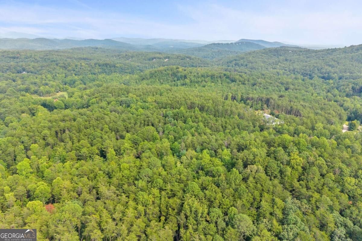 43 Whispering Pines Lane Sautee Nacoochee - Photo 31