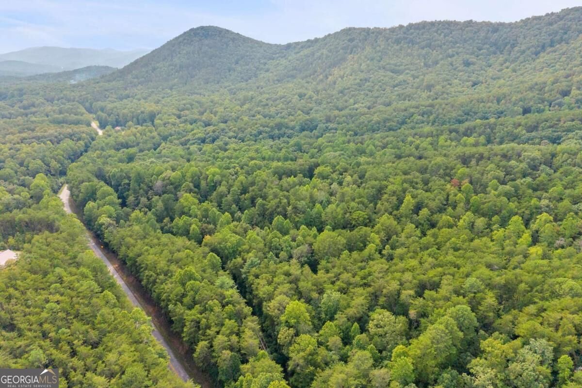 43 Whispering Pines Lane Sautee Nacoochee - Photo 34