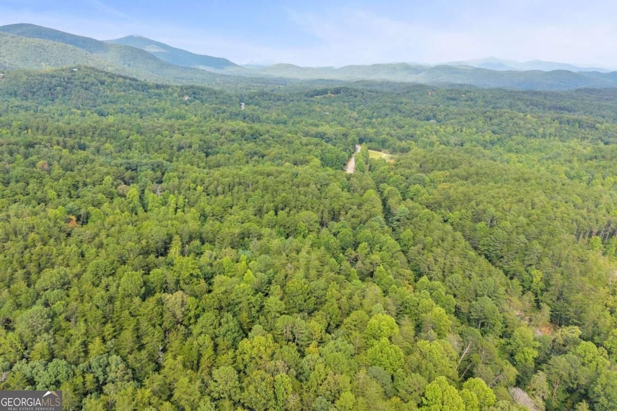 43 Whispering Pines Lane Sautee Nacoochee - Photo 36
