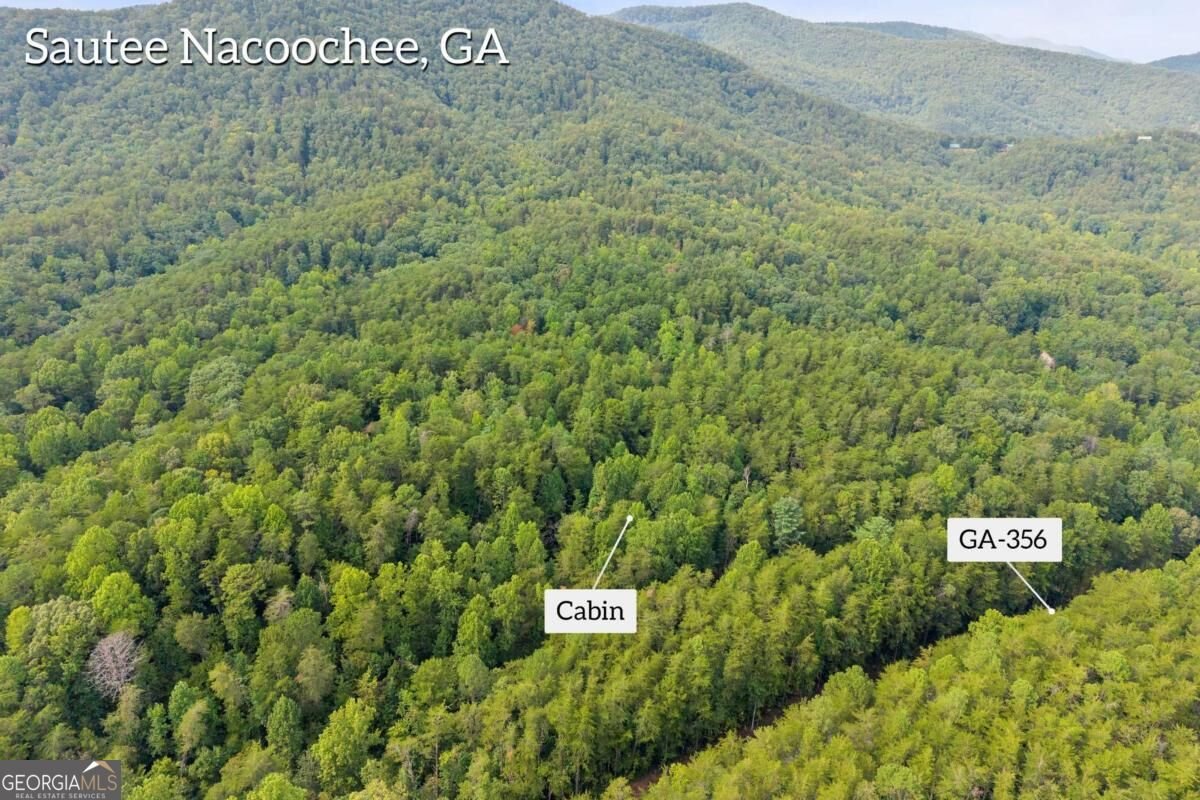 43 Whispering Pines Lane Sautee Nacoochee - Photo 37