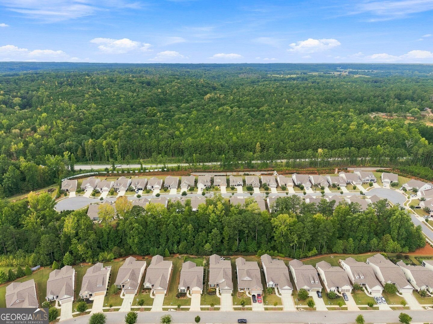 517 Inkberry Drive Griffin - Photo 31